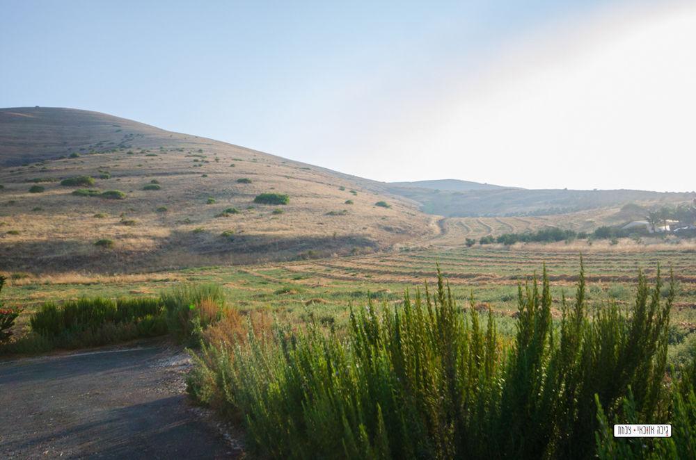 Avigail Guest House Yavneʼel Buitenkant foto